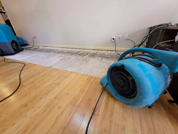 Professional Flood Damage Cleanup technician working in Catskill, NY